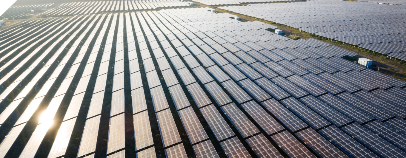 Wide shot of a solar farm